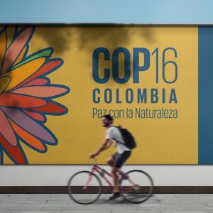 COP16 Biodiversità