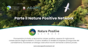 Nature Positive Network