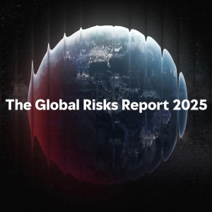 Global risks report 2025