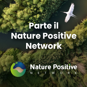 Nature Positive Network